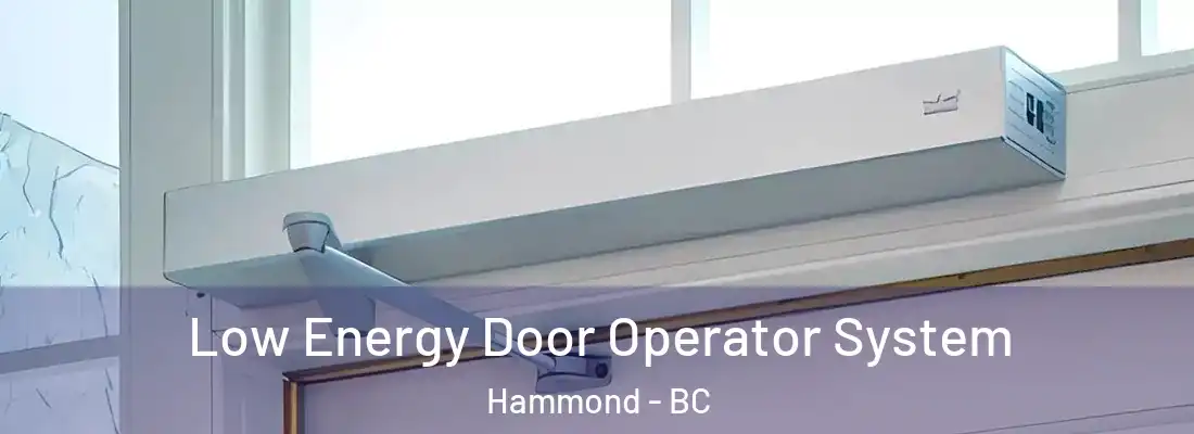  Low Energy Door Operator System Hammond - BC