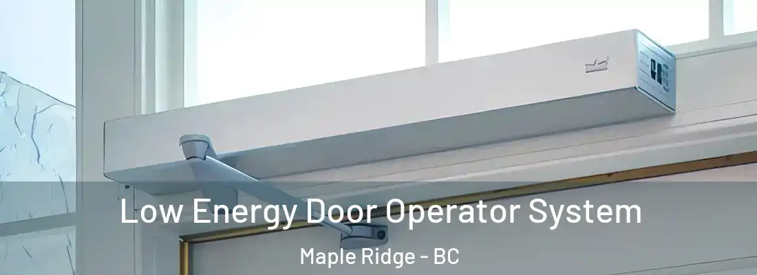  Low Energy Door Operator System Maple Ridge - BC