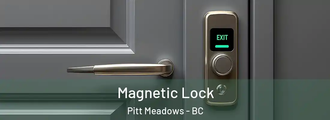  Magnetic Lock Pitt Meadows - BC