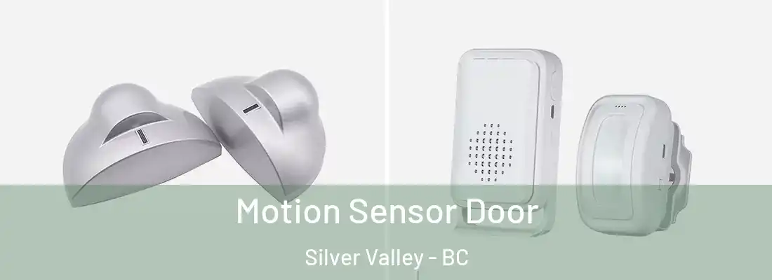  Motion Sensor Door Silver Valley - BC