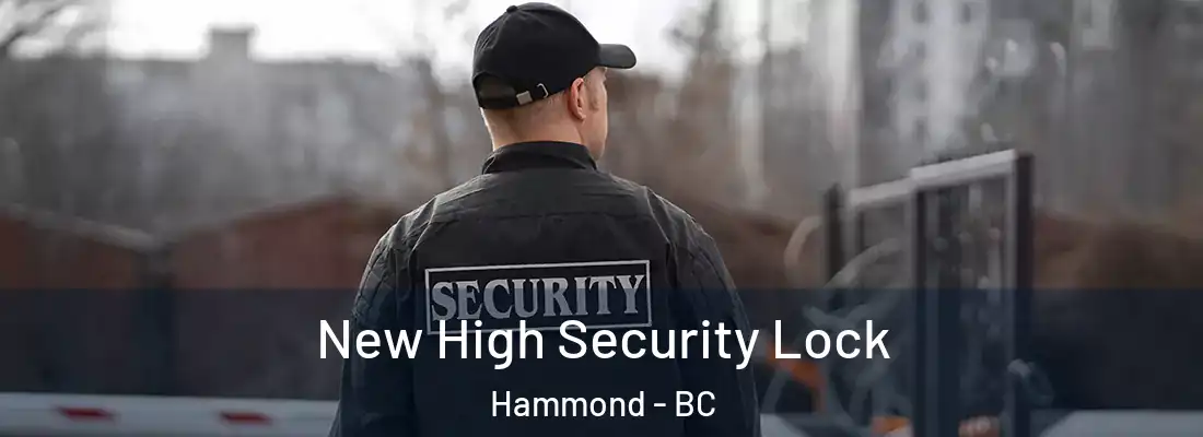  New High Security Lock Hammond - BC