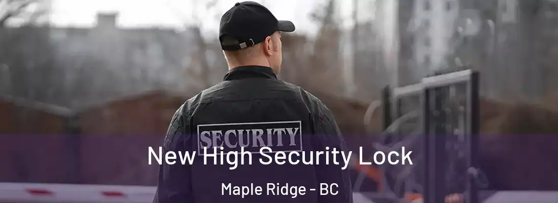  New High Security Lock Maple Ridge - BC