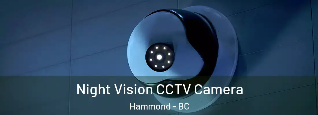 Night Vision CCTV Camera Hammond - BC