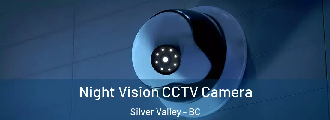  Night Vision CCTV Camera Silver Valley - BC