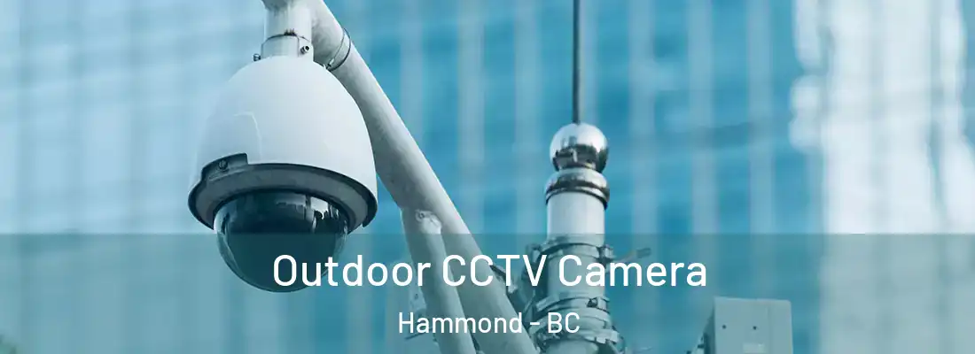  Outdoor CCTV Camera Hammond - BC