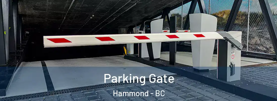  Parking Gate Hammond - BC