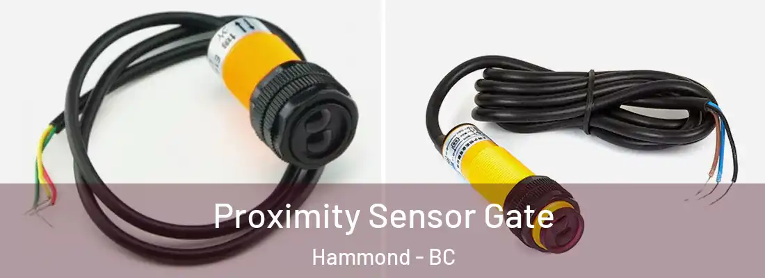  Proximity Sensor Gate Hammond - BC