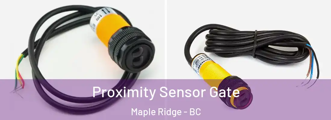  Proximity Sensor Gate Maple Ridge - BC