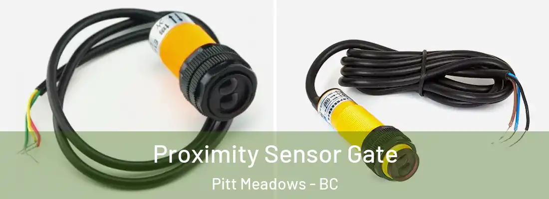  Proximity Sensor Gate Pitt Meadows - BC