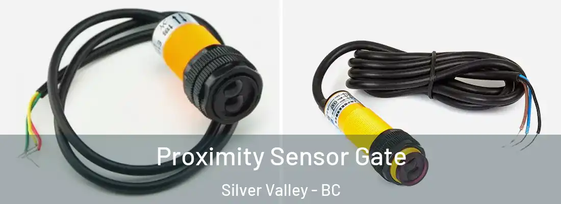  Proximity Sensor Gate Silver Valley - BC