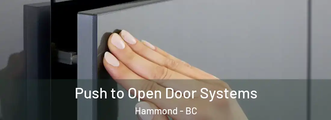  Push to Open Door Systems Hammond - BC