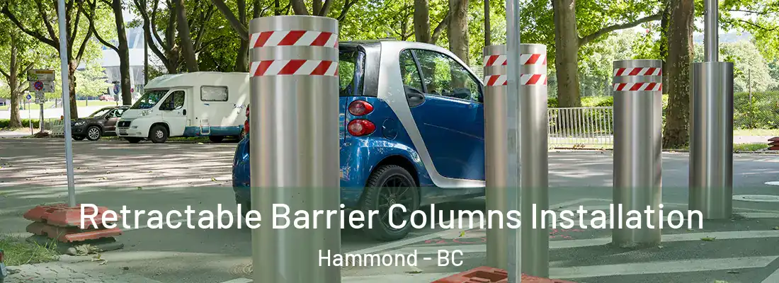  Retractable Barrier Columns Installation Hammond - BC