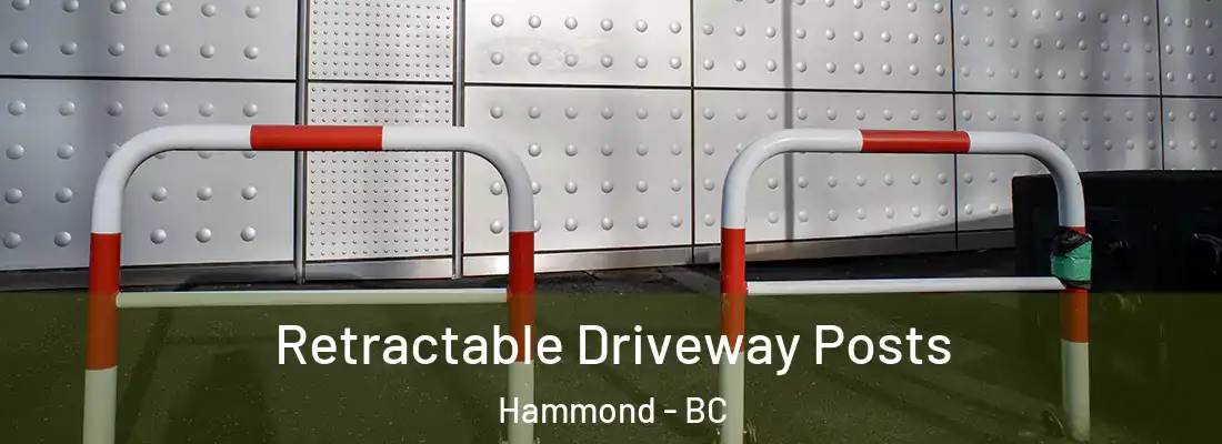  Retractable Driveway Posts Hammond - BC