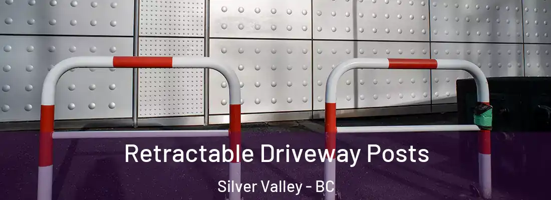  Retractable Driveway Posts Silver Valley - BC