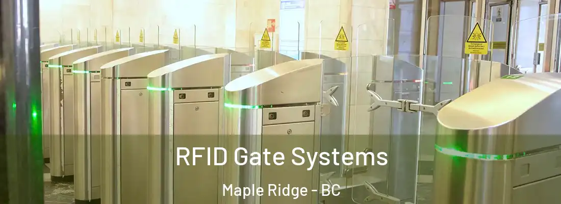  RFID Gate Systems Maple Ridge - BC