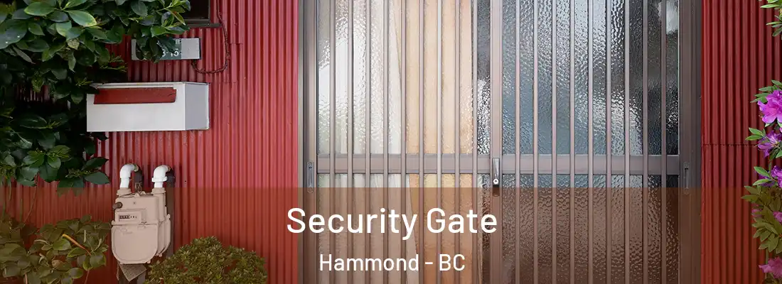 Security Gate Hammond - BC