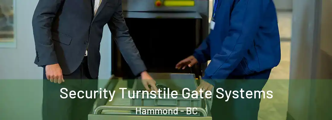 Security Turnstile Gate Systems Hammond - BC