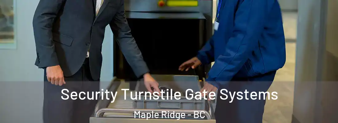  Security Turnstile Gate Systems Maple Ridge - BC
