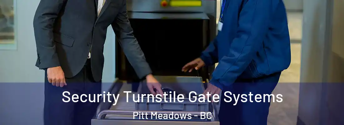  Security Turnstile Gate Systems Pitt Meadows - BC