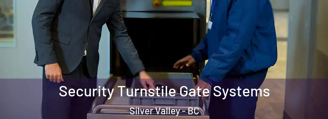  Security Turnstile Gate Systems Silver Valley - BC