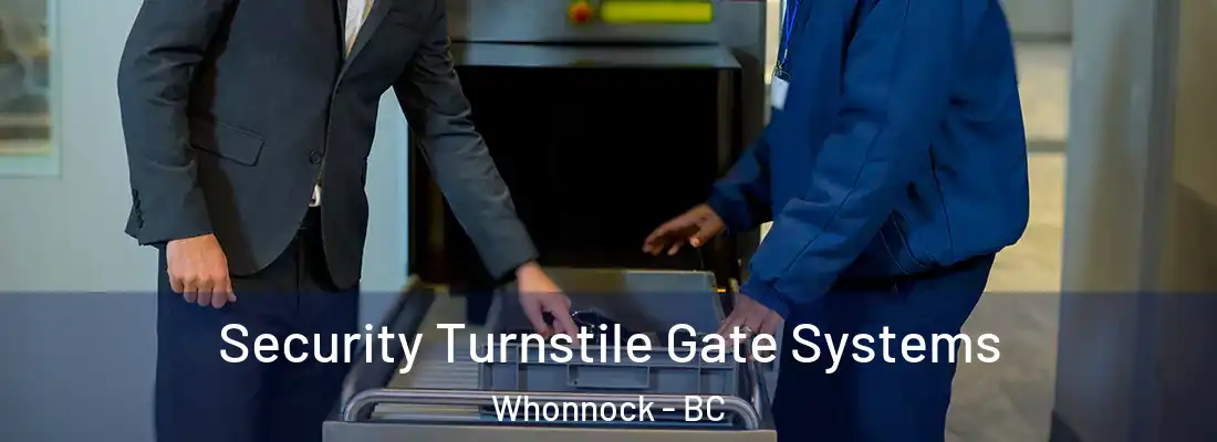  Security Turnstile Gate Systems Whonnock - BC