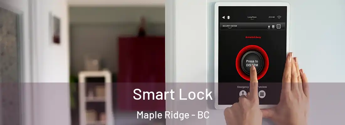  Smart Lock Maple Ridge - BC