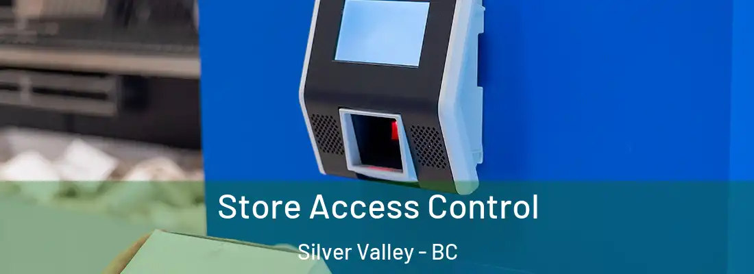  Store Access Control Silver Valley - BC